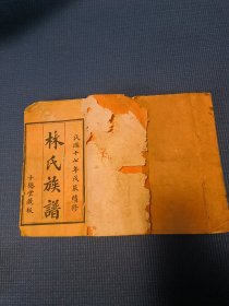 民国:海南林氏族谱(卷一，卷二）两册合售