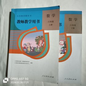 数学教师教学用书 六年级上下册(附光盘 )