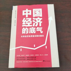 中国经济的底气：未来经济高质量发展的路径（顶级经济学家+一流专业解读）