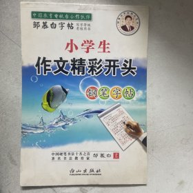 小学生作文精彩开头钢笔字帖