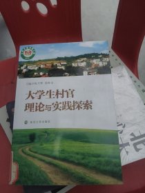 大學(xué)生村官理論與實(shí)踐探索