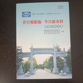 昔日根据地 今日新农村——淮南市凤台篇