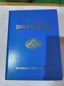 景谷县2000年人口普查资料