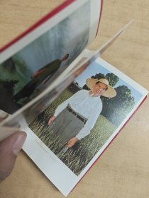 毛主席语录 内有毛主席照片16张