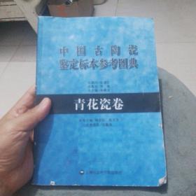 中国古陶瓷鉴定标本参考图典：青花瓷卷（复印本）