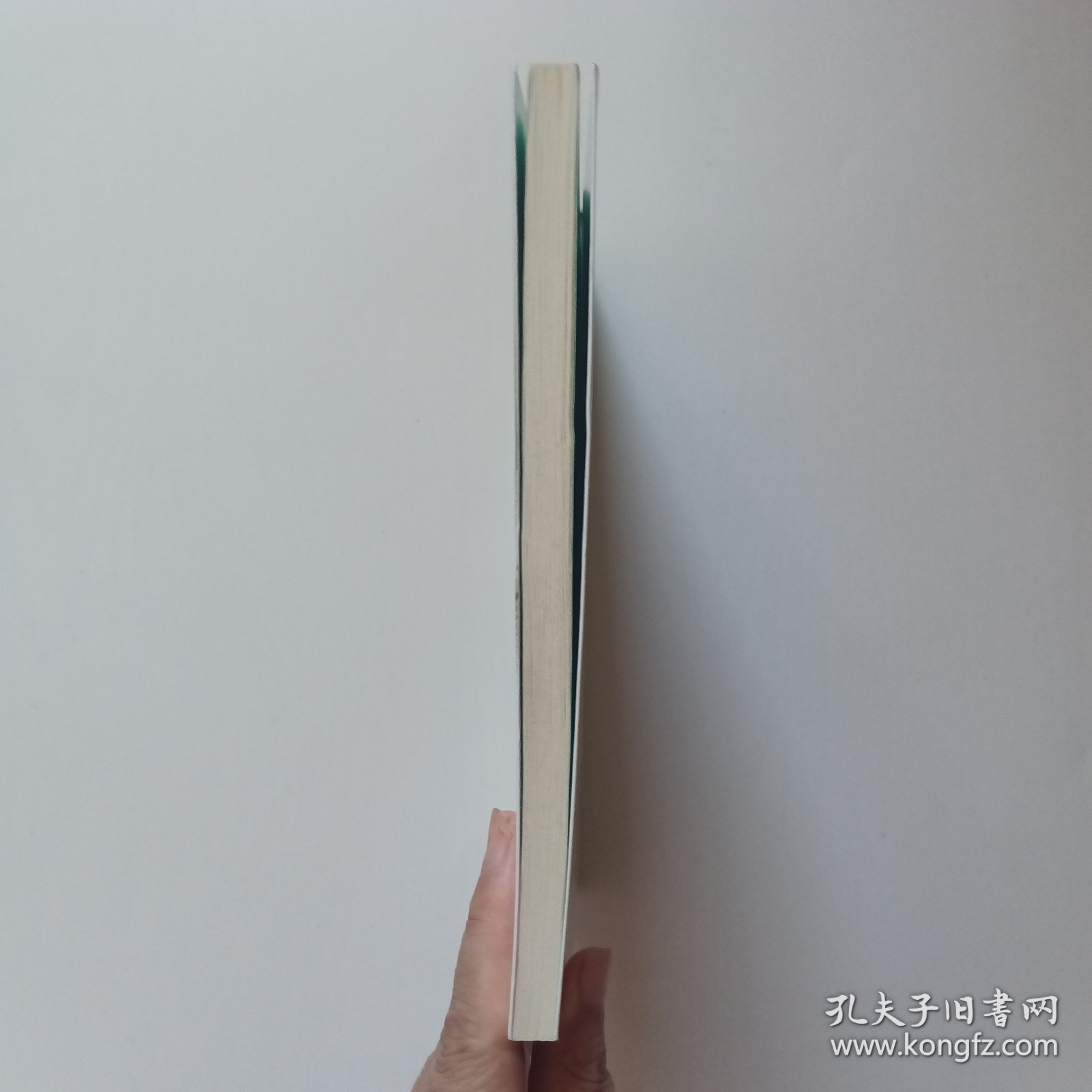 孤岛野犬：椋鸠十动物小说-爱藏本 包挂刷