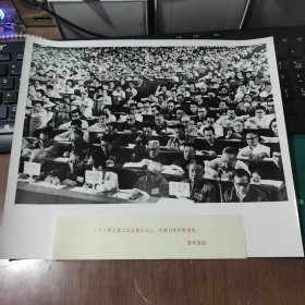 超大尺寸：1983年，六届全国人大代表在审议政府工作报告