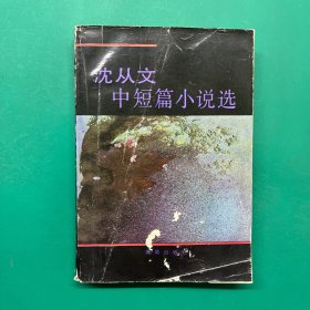 沈从文中短篇小说选