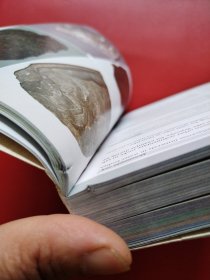 Minerals Encyclopedia (看图拍)