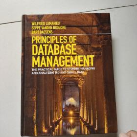 principles of database management:the practical guide to storing,managing and analyzing big and small data（大16开硬精装英文原版）