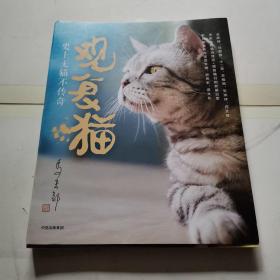 观复猫：史上无猫不传奇