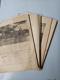 文物 1977年 1.3.4.5.7.8.9.11 八册合售