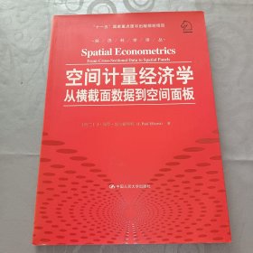 空间计量经济学：从横截面数据到空间面板/经济科学译丛；“十一五”国家重点图书出版规划项目