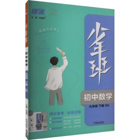 少年班 初中数学 9年级 下册 SK