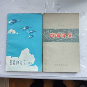 蓝蓝的天空 煤海浪花（诗集2册合售）（铁架3）