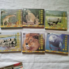 奇妙的动物世界1-6 全套vcd正版盒装