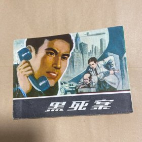 连环画：黑死案