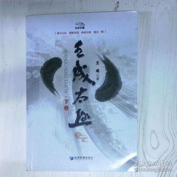 王成太极（下卷）