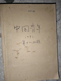 中国青年1991年1-12期自装合订本