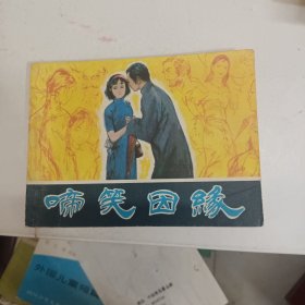 连环画 啼笑因缘 小人书