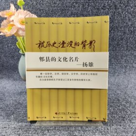 被历史淹没的背影