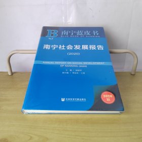 南宁社会发展报告2020