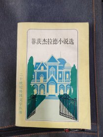 菲茨杰拉德小说选