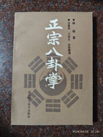 正宗八卦掌 林燧 1990年 八卦掌经典之作 85品3