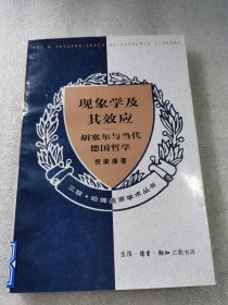 现象学及其效应 胡塞尔与当代德国哲学