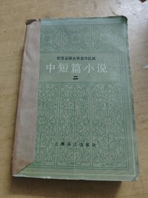 陀思妥耶夫斯基作品集中短篇小说 二