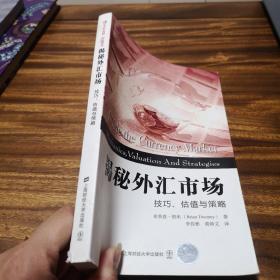 东航金融·衍生译丛·揭秘外汇市场：技巧、估值与策略（引进版）