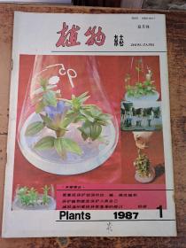 植物杂志 1978年第1期至1987年第1期(共20册合售)