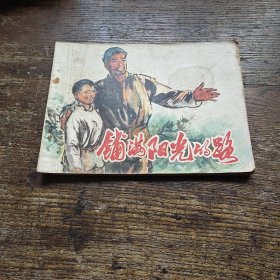 铺满阳光的路