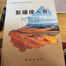 新疆矿产资源潜力评价项目系列丛书【新疆侵入岩】