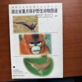 湖北省重点保护野生动物图谱