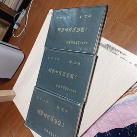 皇明名臣琬琰录（全三册）