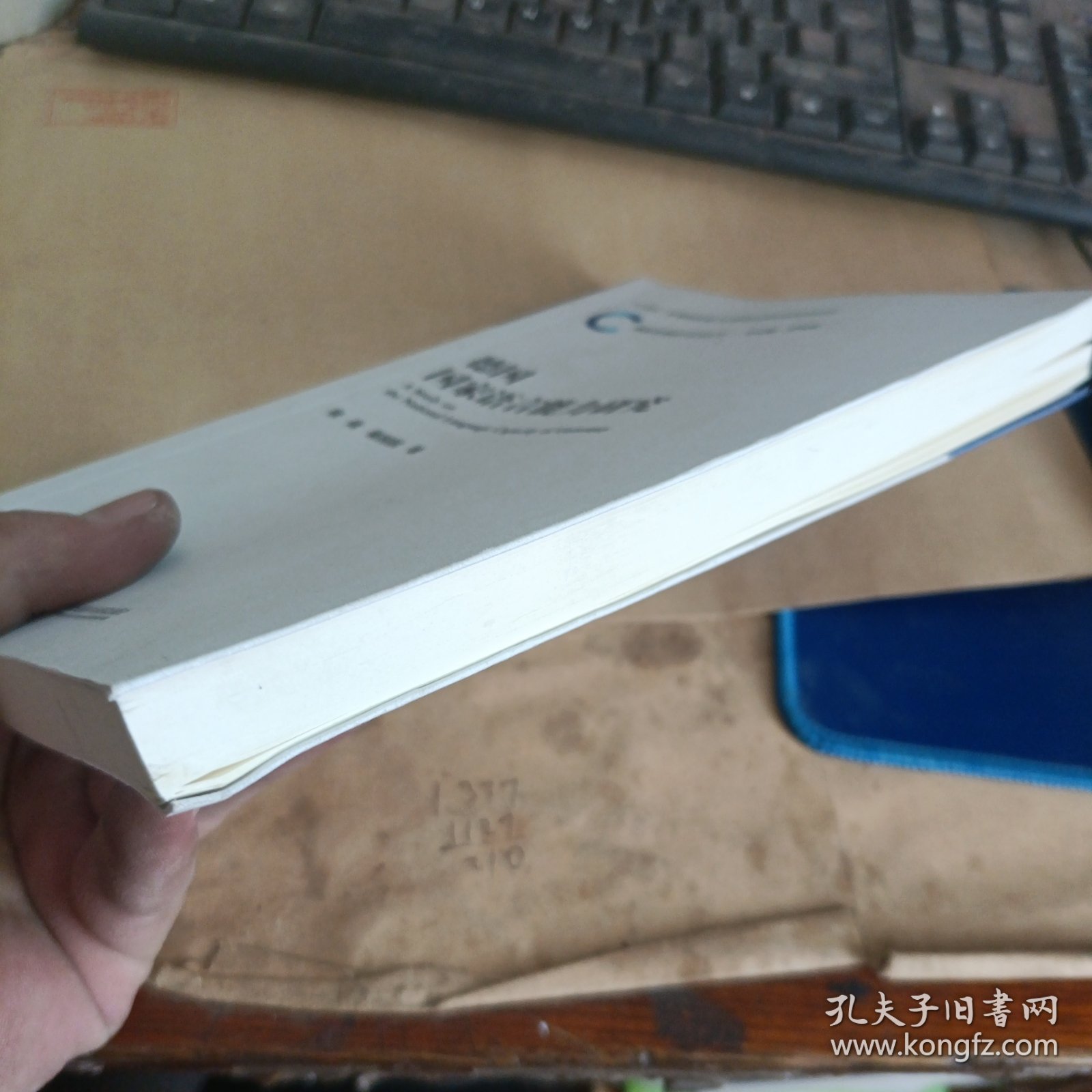 德国国家语言能力研究