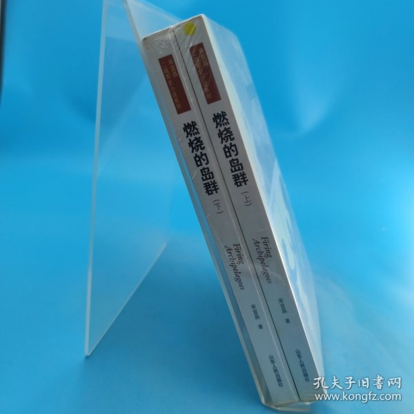 燃烧的岛群(上下)：宋宜昌二战军史小说系列