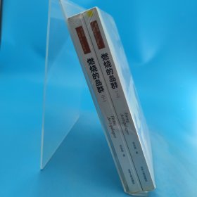 燃烧的岛群(上下)：宋宜昌二战军史小说系列