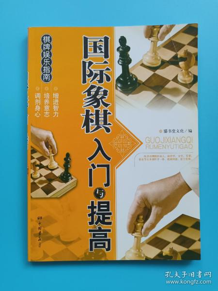 棋牌娱乐指南：国际象棋入门与提高