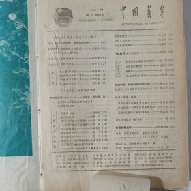 中国青年1981 13-24