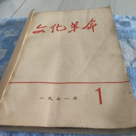 革命文化(1一12期 共11本 11一12是合刊)