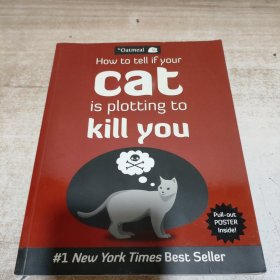 How to Tell If Your Cat is Plotting to Kill You