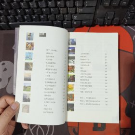 一只蚂蚁领着我走（一版一印）