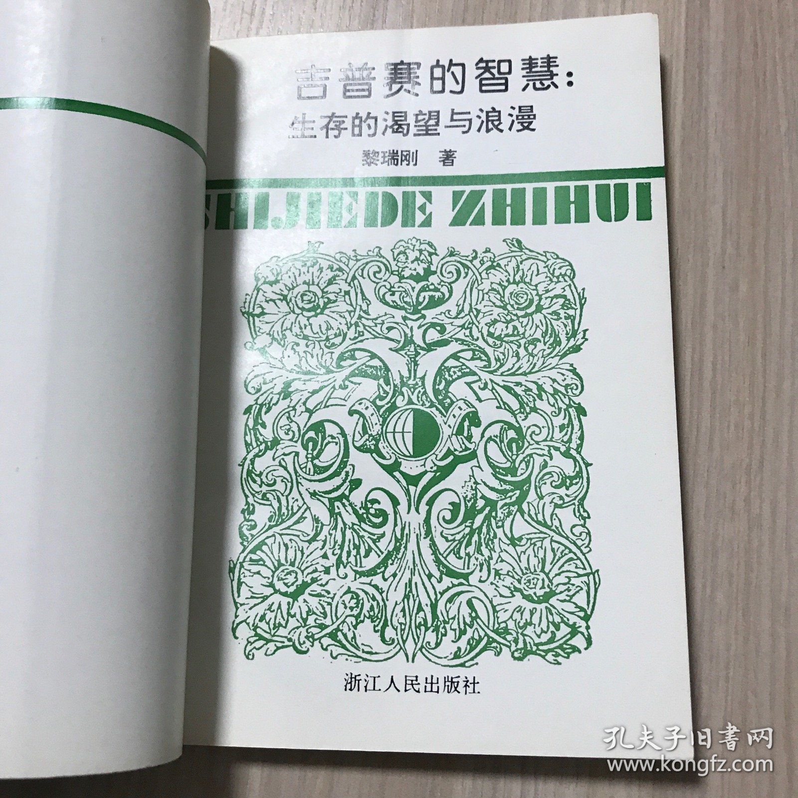 吉普赛的智慧：生存的渴望与浪漫