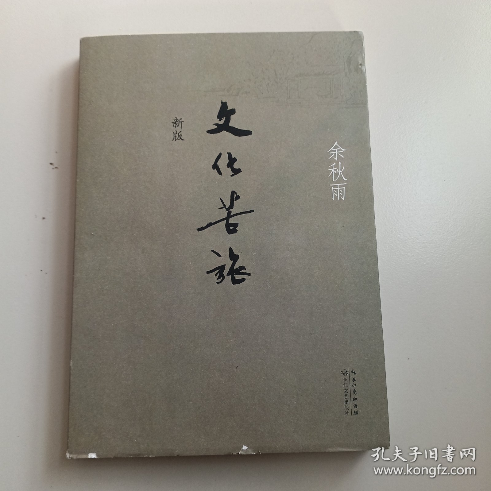 文化苦旅（新版）