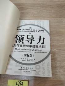领导力：如何在组织中成就卓越（第5版）