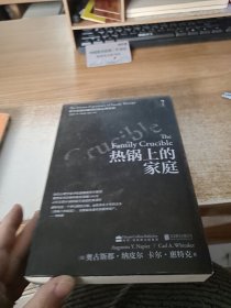 热锅上的家庭：家庭问题背后的心理真相