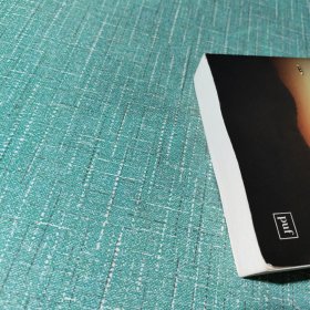 L'ECHEC d'une PROPHETIE 失败的预言