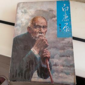 白鹿原（陈忠实著  1993年一版三印，人民文学出版社，包括三印的白鹿原是未删除老版内容，陈忠实的经典作品！）